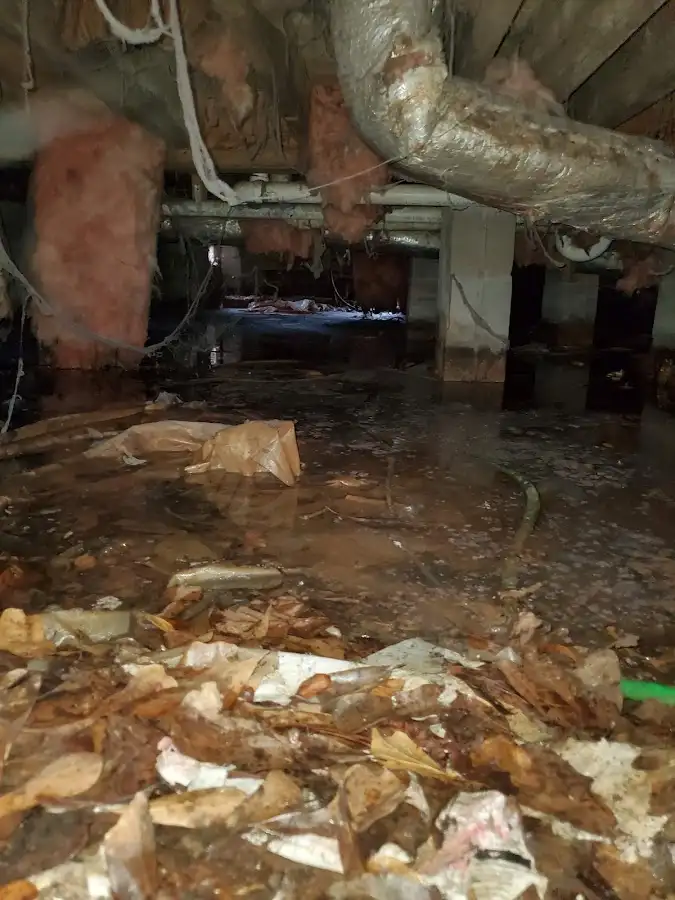 Crawl space flood assessment for Leak Detection & Repair in Tehaleh